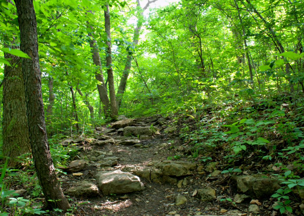 #20. Missouri